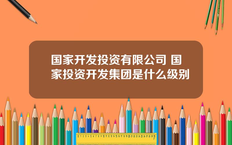 国家开发投资有限公司 国家投资开发集团是什么级别